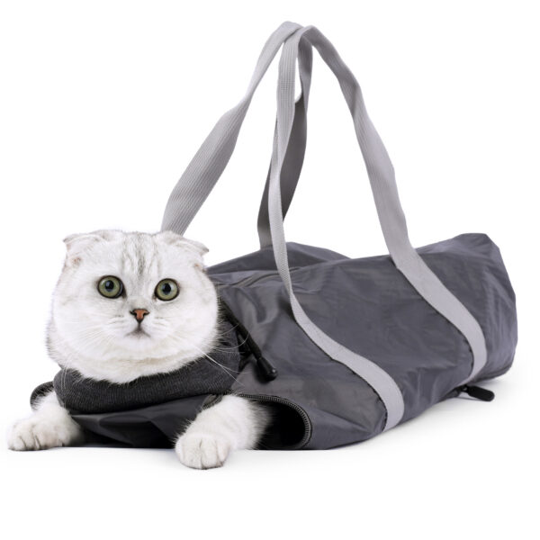 Pet Outgoing Bag (2 colors) - Image 2