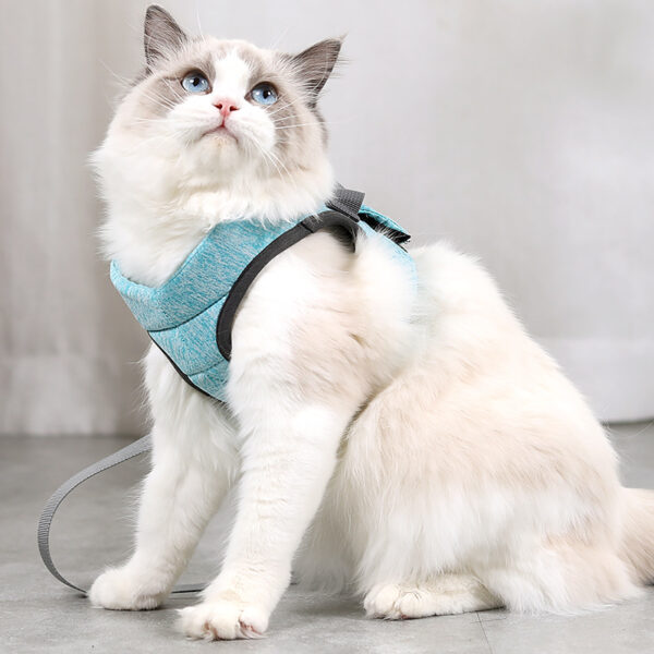 1.An elastic fabric cat harness is a harness specifically designed for cats and is made from stretchy and flexible fabric materials. The elastic fabric used in these harnesses allows for a better range of motion, making it easier for cats to walk, run and explore without feeling restricted. The stretchiness of the fabric ensures a secure fit around the cat's body without causing discomfort or chafin. 2.Elastic fabric cat harnesses feature adjustable straps to ensure a proper and customized fit for different cat sizes. It include a leash attachment point for attaching a leash to keep your cat safely controlled during outdoor adventures.