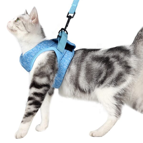 Elastic fabric cat harness(4 colors) - Image 4