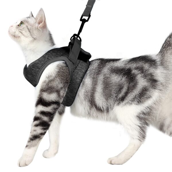 Elastic fabric cat harness(4 colors) - Image 3