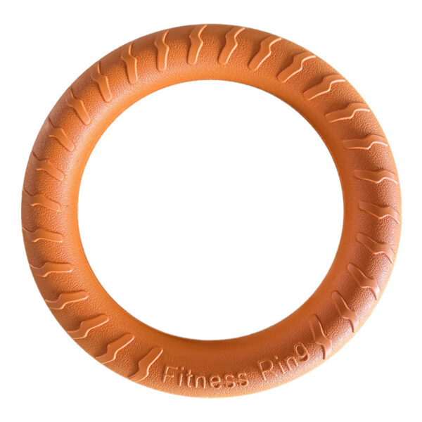 Large dog circular pet toys (5 colors) - Image 3