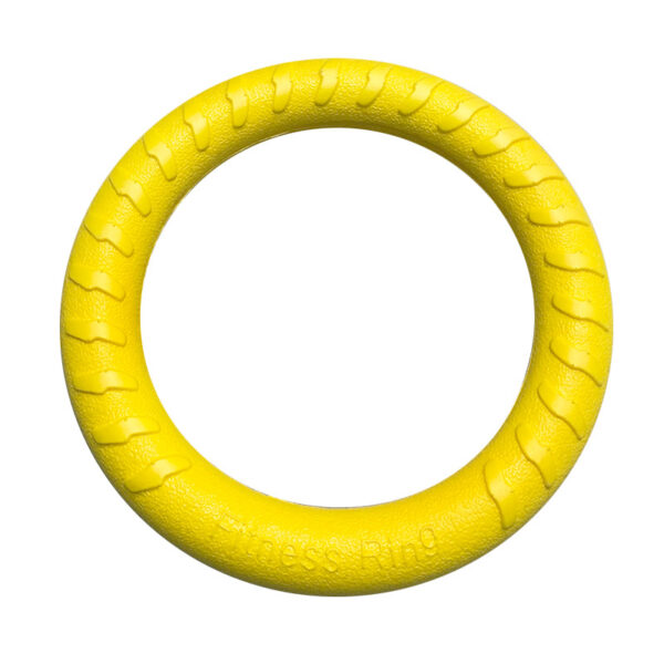 Large dog circular pet toys (5 colors) - Image 5