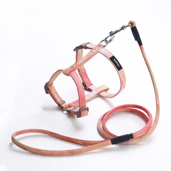 Gradient color pet harness and leash (3 colors) - Image 2