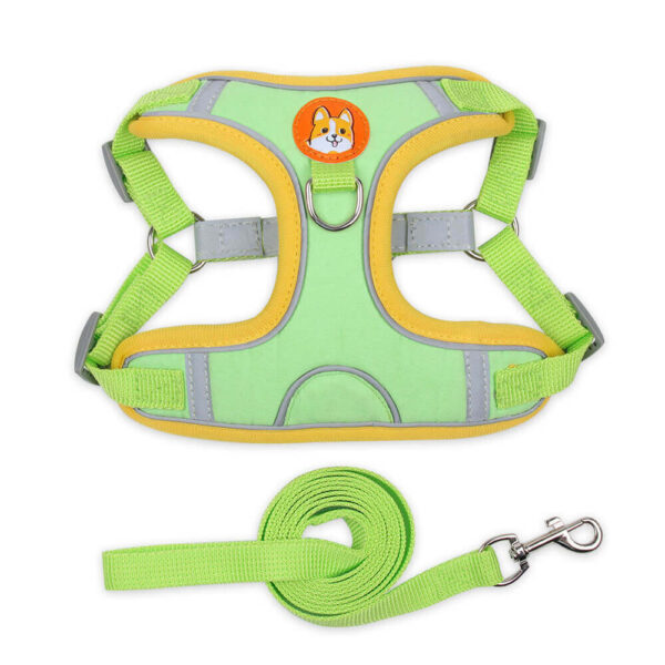 Pet harness and leash - Image 2