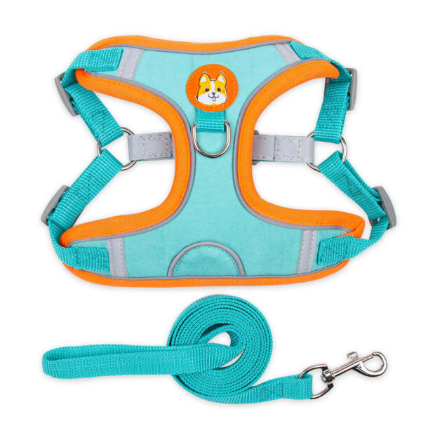 Pet harness and leash - Image 4