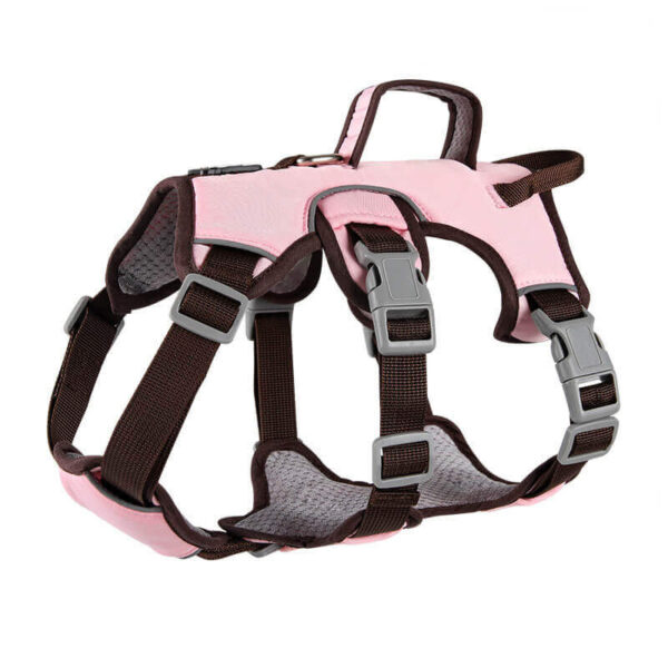 Durability and Shape Retention: Harness made from high quality materials that are resistant to deformation. This ensures that the harness maintains its shape and structure even with regular use.Comfort and Breathability: Soft and light weight materials that won't weigh your pet down or cause discomfort. Breathable fabrics can help prevent overheating during walks or activities.Adjustable Fit: A harness with adjustable buckles allows you to customize the fit for your pet. This ensures a snug and secure fit, preventing any discomfort or potential escape.Bright Colors and Innovative Styles: Harness with bright colors and unique patterns. This adds a touch of style and allows your pet to stand out. Additionally, innovative designs offer features like reflective strips for added visibility during nighttime walks.