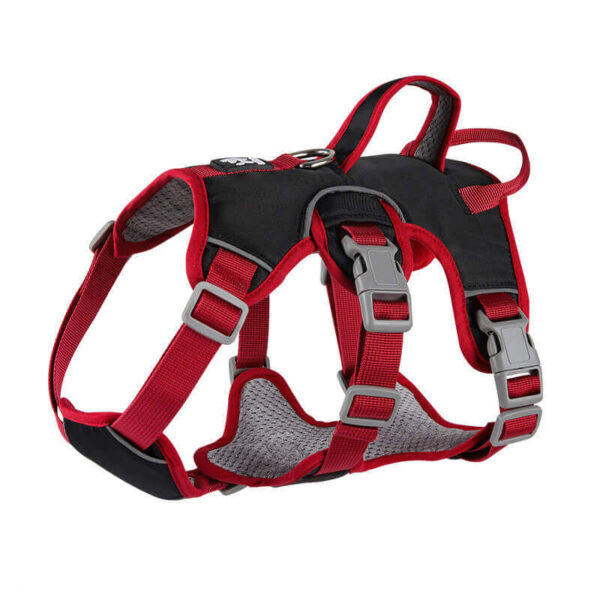 Pet harness - Image 3